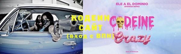 молекула духа Арсеньев