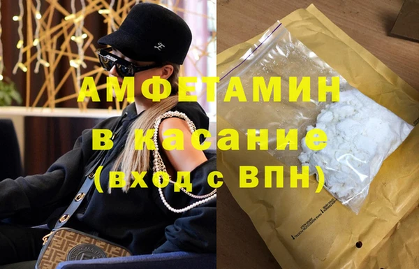 молекула духа Арсеньев