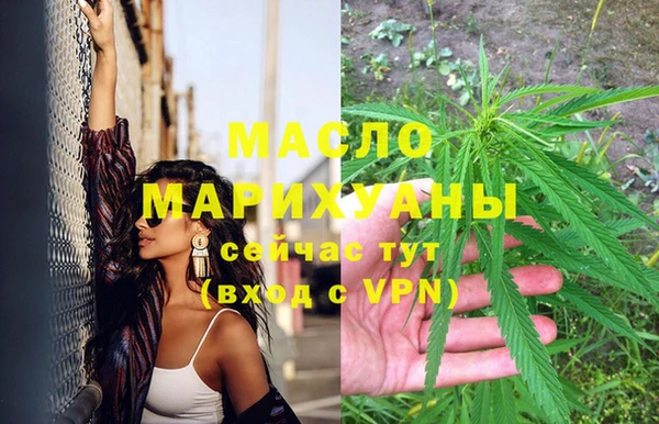 молекула духа Арсеньев