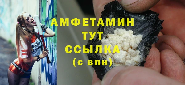 молекула духа Арсеньев